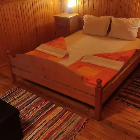 радеви * Obzor