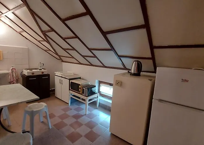 радеви * Obsor